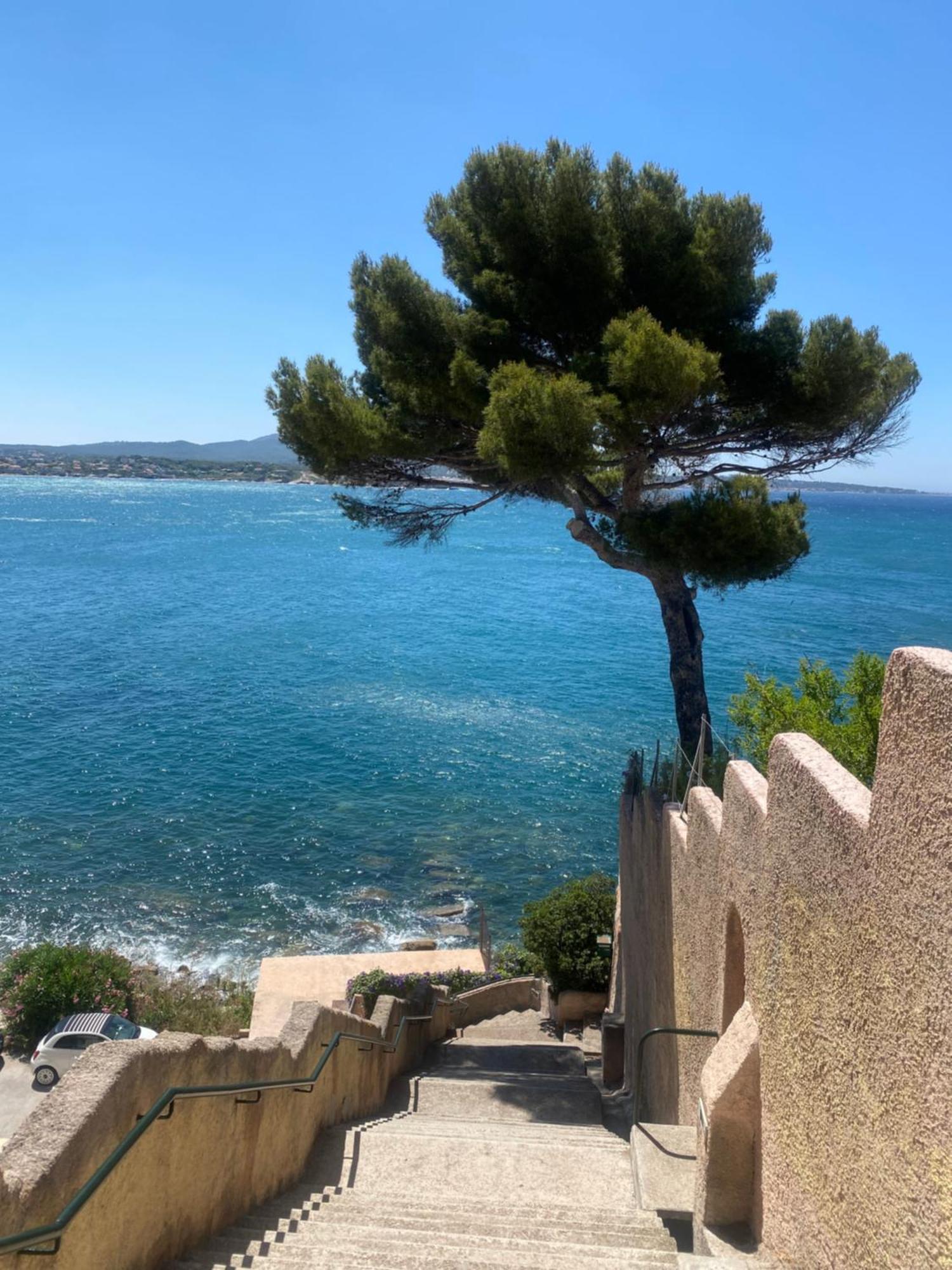 Apartament Casa Paloma Sanary-sur-Mer Zewnętrze zdjęcie